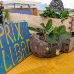 Copie de IMG_0984_LR_low