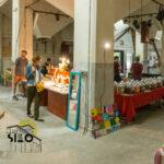 IMG_0230-Panorama fb