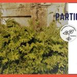 Jardin participatif