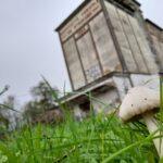 311806465_115166748054017_7402523086356995602_n