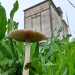 311993549_115166718054020_4306181007085053222_n