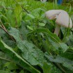 312272549_115166691387356_5289309862047413616_n