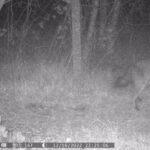 320653001_844881736633683_7198161102248823920_n