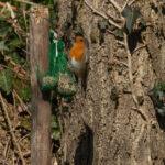 332747964_767249194676878_8743144178394584001_n