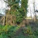 336684476_679503680614793_1624430032822166917_n