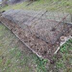 336693170_733684908365591_4348901260183804483_n