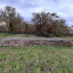 337019925_523667969953280_6741527220277418813_n