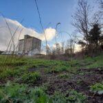 337034728_484507640416044_5492047294291979313_n