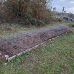 337051756_200955465959643_5077062125630640481_n