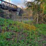 337106502_3427151920882829_2729796919245364776_n