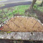 337544267_557186646504755_1536495731101982820_n