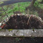 337667664_761942715344562_6005659868075681585_n