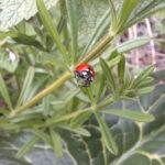 338192674_225548620132240_1381707152535033279_n