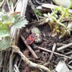 338836574_1249101729321635_5661313751014693911_n