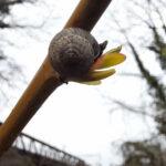 338843029_230632259486567_130819390666356446_n