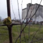 338894333_617515166910029_8822484462969768348_n