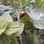 338966299_130946956469024_1840124019527991690_n