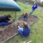 342910579_246723134426591_2260132165371903153_n