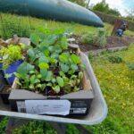 342983135_1530542274015899_6293914850046188011_n