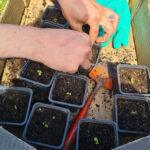 343299593_990288162405214_5770954353948723331_n