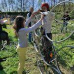 IMG_20230415_164551